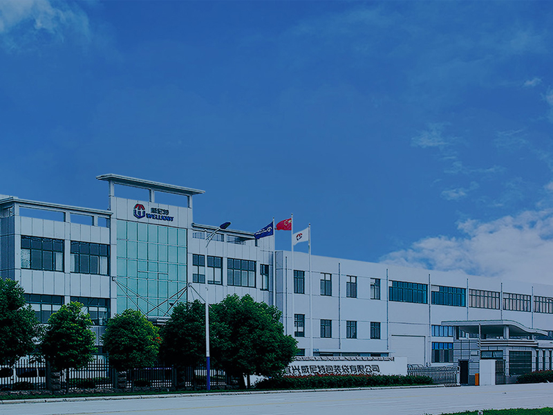 成功案例一宜兴威尼特集装袋有限公司